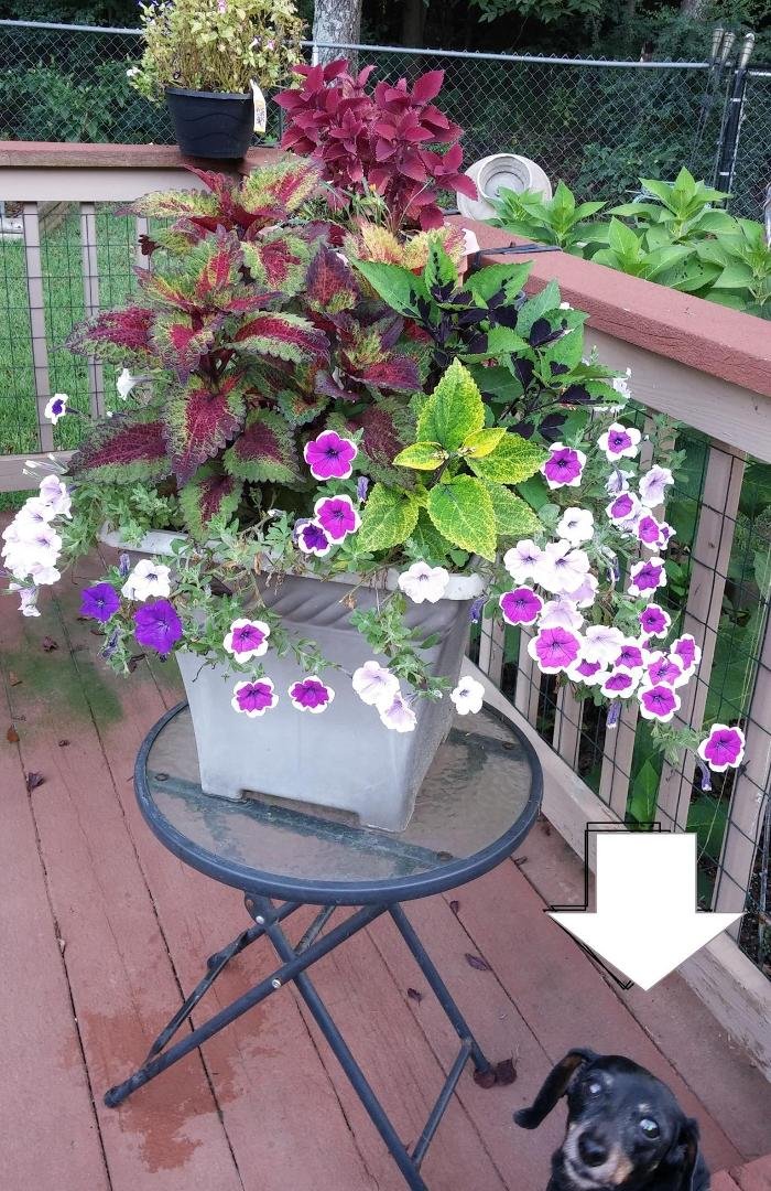 Donna Persinger's album, Timeline Photos