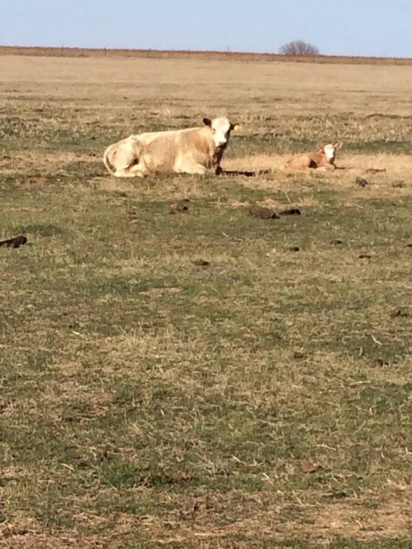 What has she been up to? Behold, a new mother!