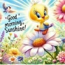 Have a great day!