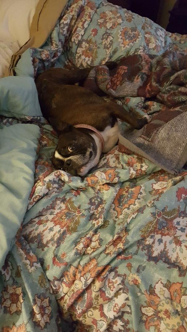 Bella feeling onrey.