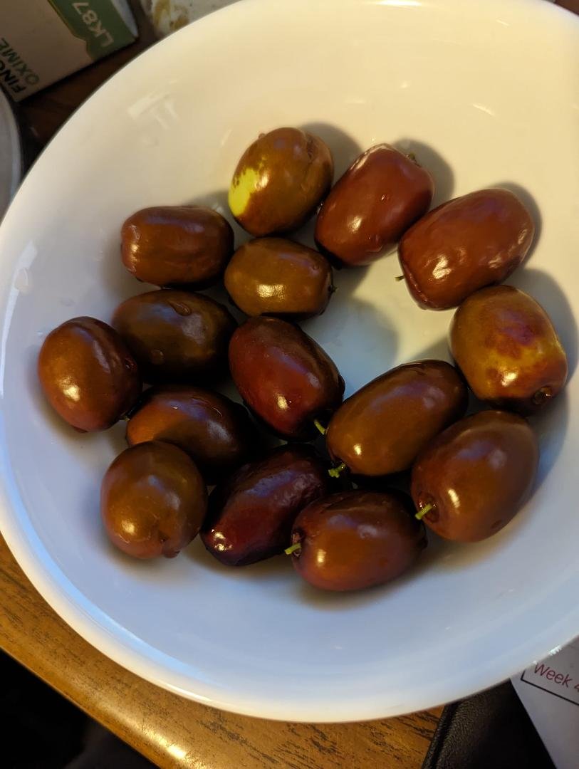 My 1-year-old jujube was just loaded with fruit this year. I have two more that have a few small fruits on them that won't make it to ripeness by the time winter hits. Keep our fingers crossed.