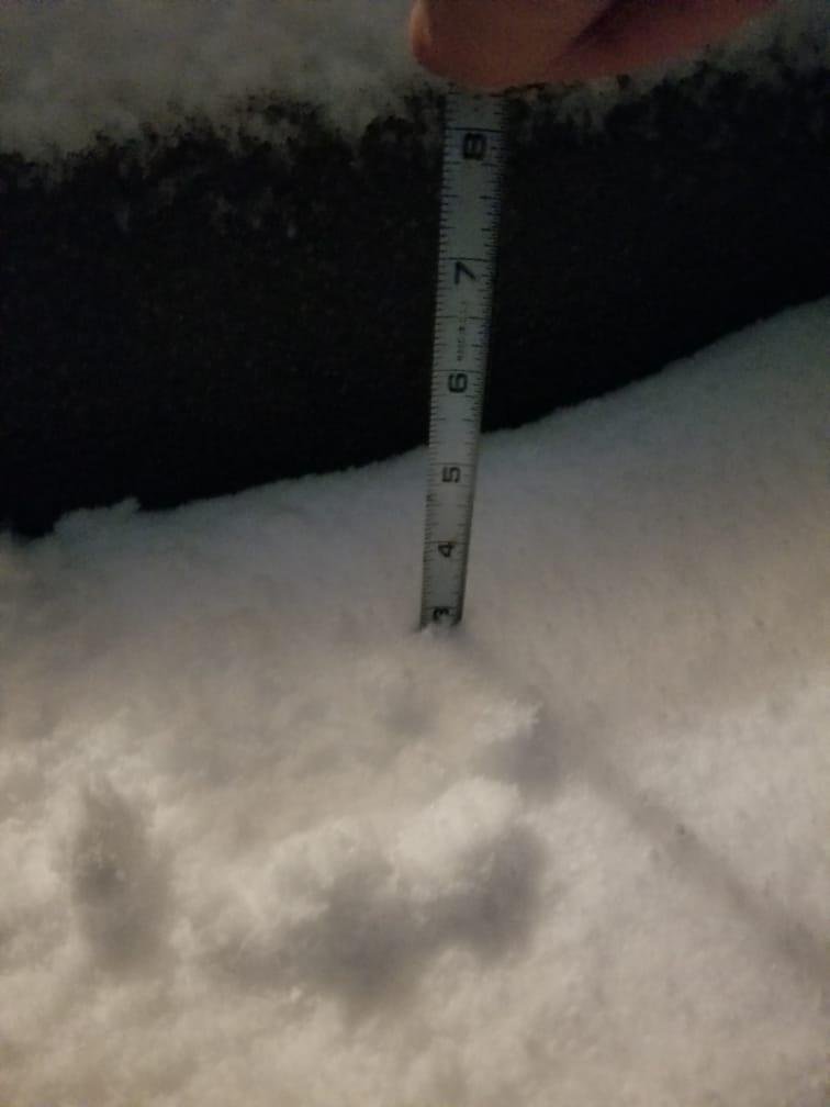 Three inches of snow and still coming down