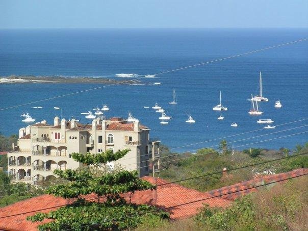 Tamarindo