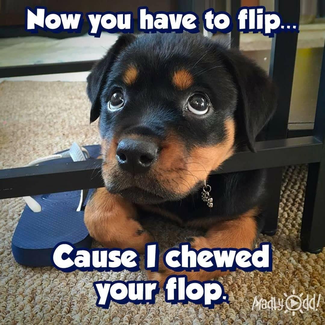 What a face!