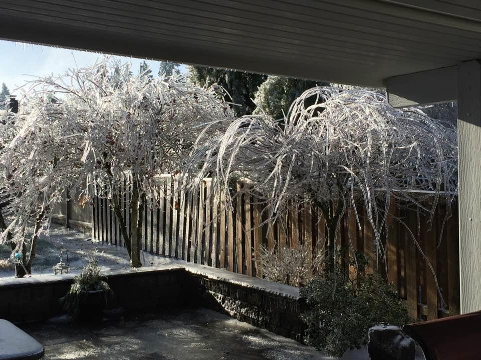 Saturday morning and The thaw begins! Maybe sometime today I will be able to get out of my garage.