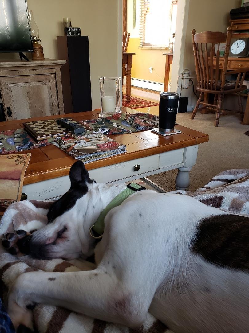 Exhausted from her trip. 10-31-20