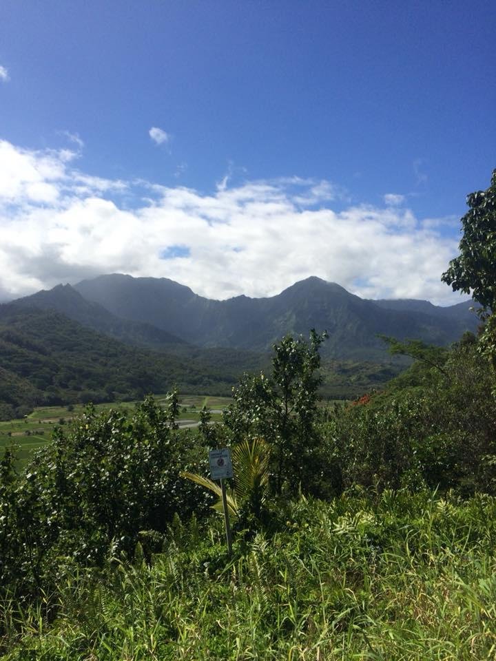 Will Johnson's album, Mobile Uploads