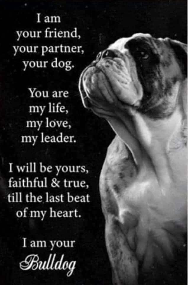 This was my Maggie... miss her every day.