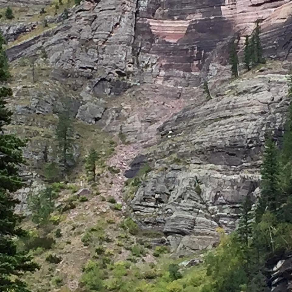 Two goats again. Look close.