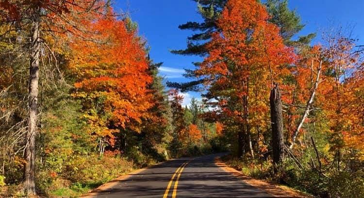 Up North