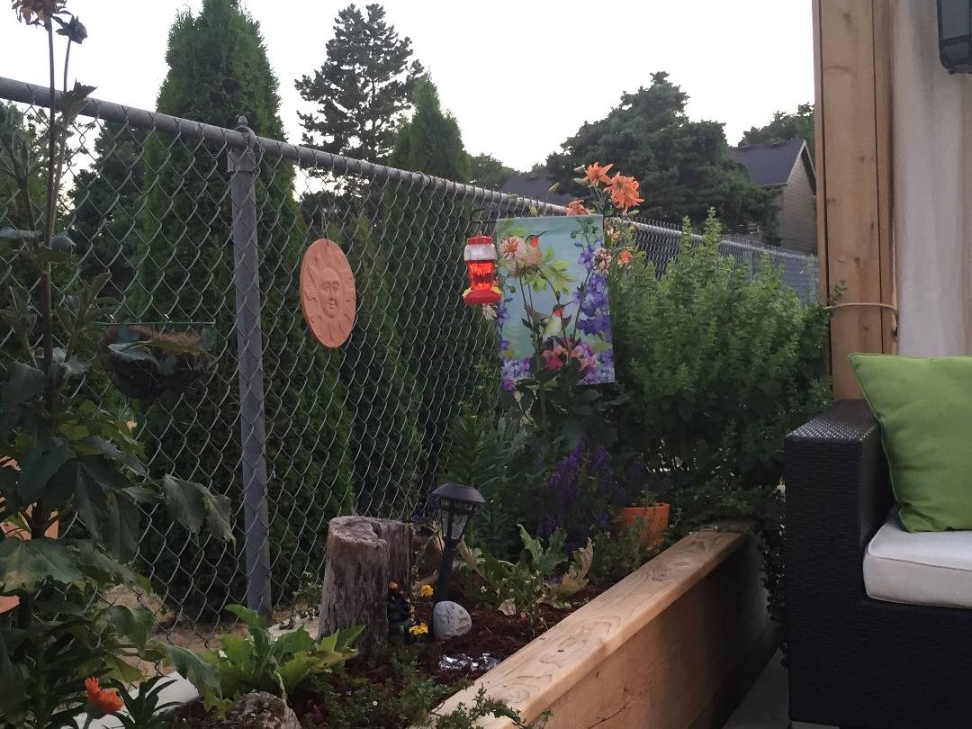 Dusk on Logan's garden on Haily's birthday