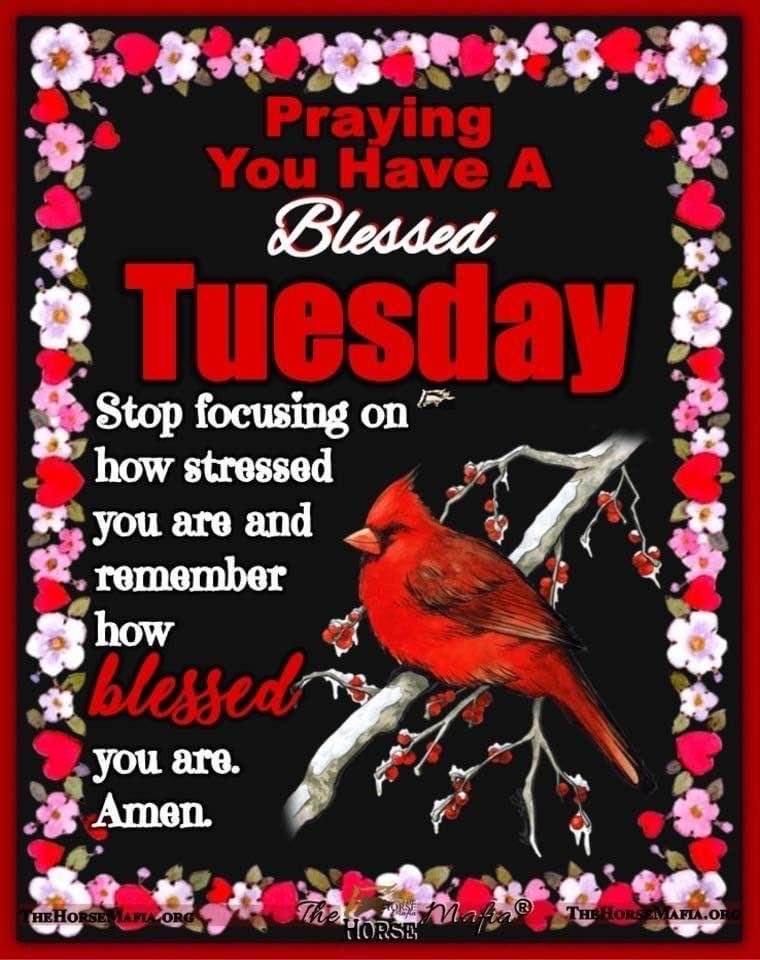 Blessed Tuesday!