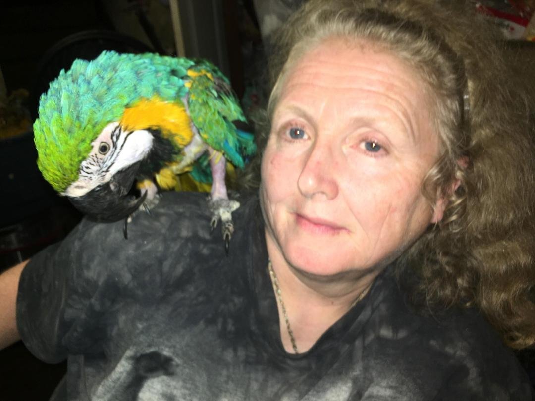 This is my parrot Ginger and I about 5 years ago.
