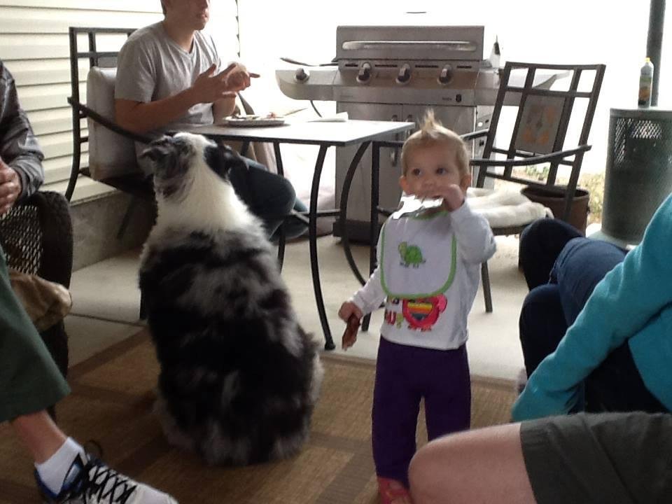 My granddaughter Remi