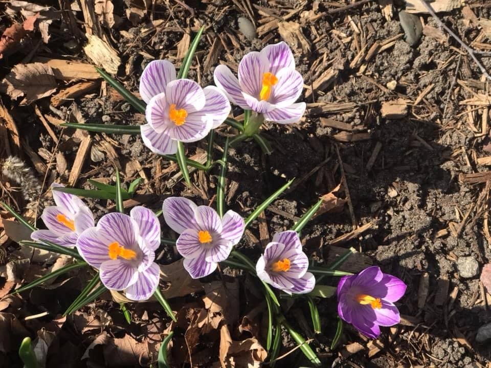 Jerome Lensing's album, Mobile uploads