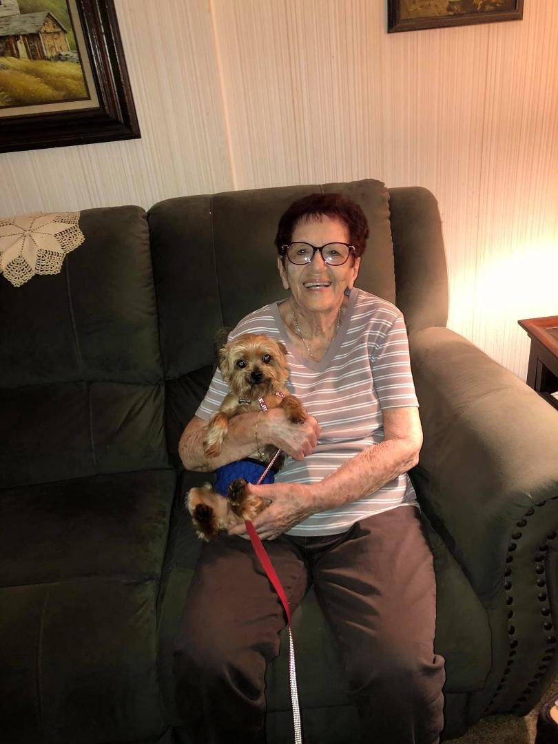 Family visited Aunt Roz, and a special guest came along to say hello—then got loose and pooped in her guest room.