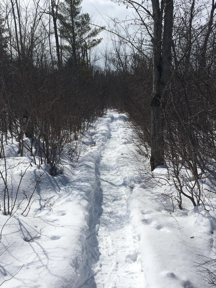 Great day for some nature