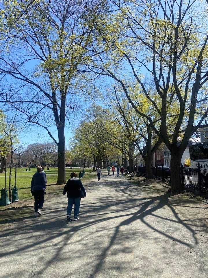 Lovely morning to walk the common with the walking group.