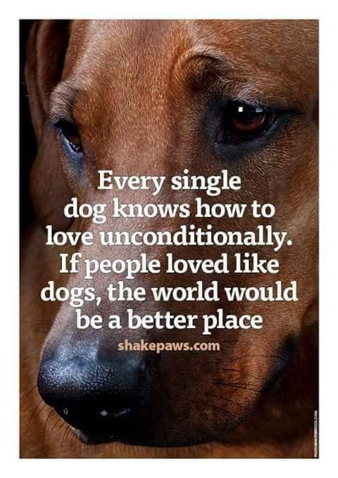 Kim Clark's album, Timeline Photos