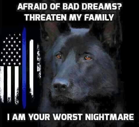Mike Murphy's album, Timeline Photos