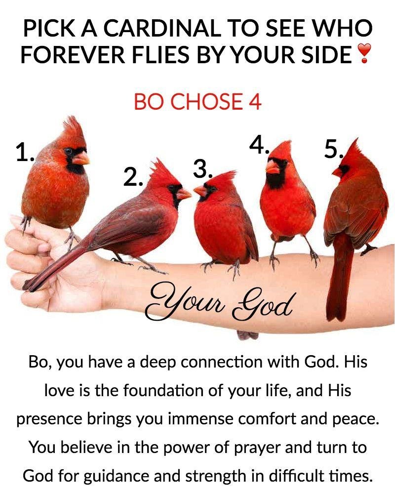Bob DAvanzo's album, Timeline photos