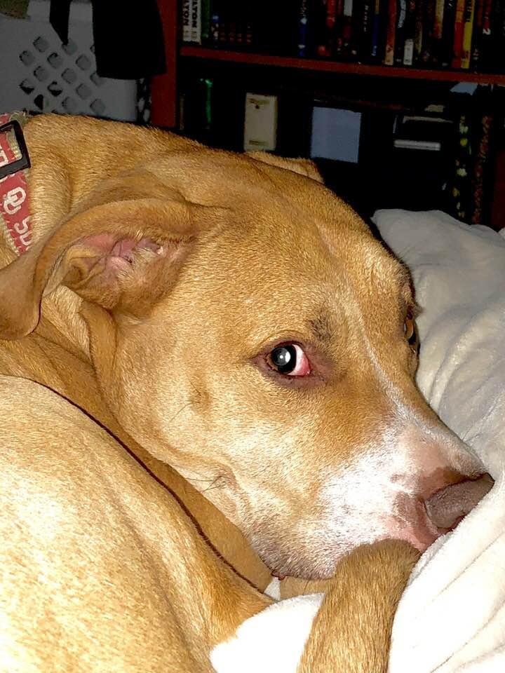 Lucy says hi