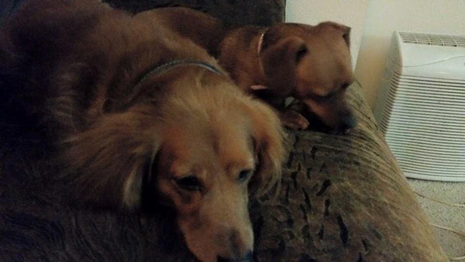 My babies!