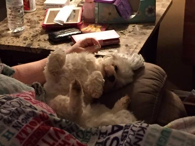 It's a tough life.