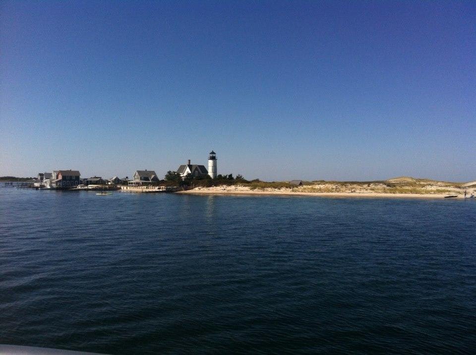 Whale watch and the beach! Perfect weekend in late September .