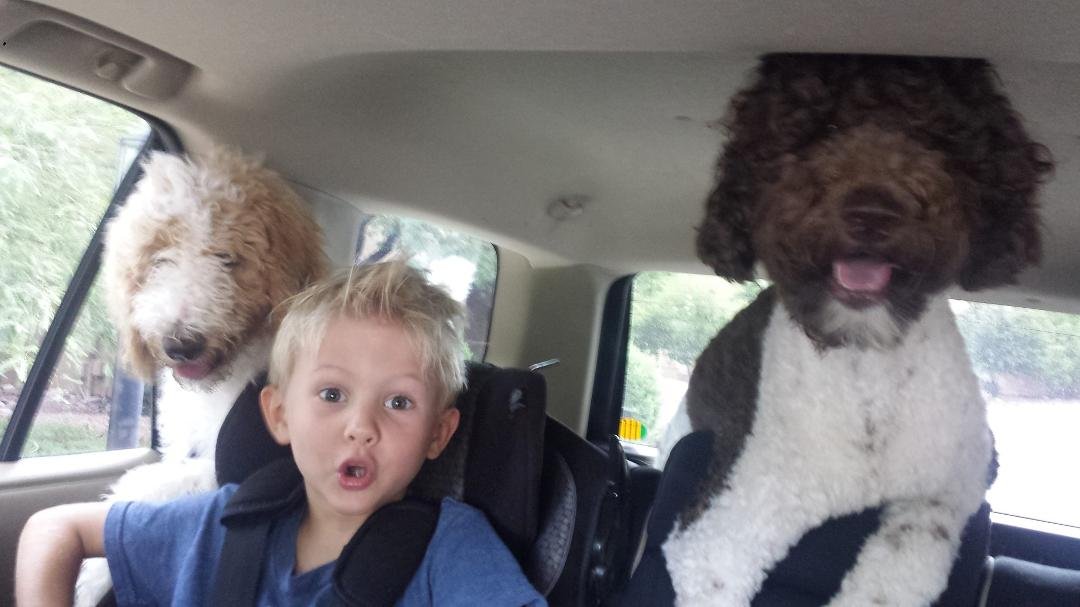 National Dog Day with grandson.