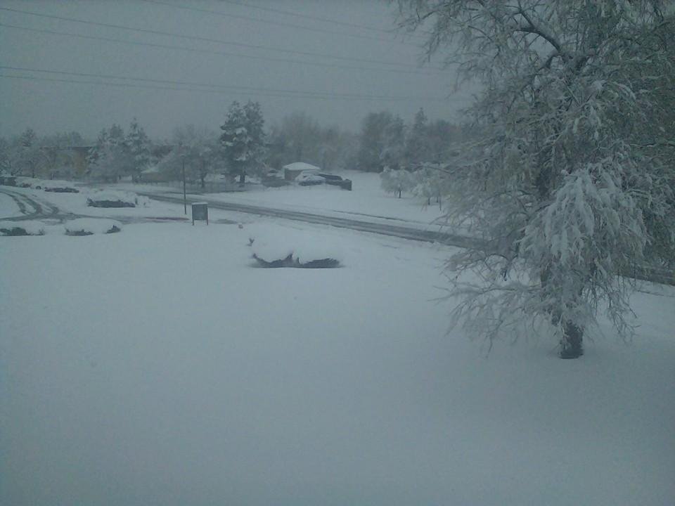 Sunday morning and it's still snowing. About a foot of snow so far, supposed to snow the rest of the day with another one to two inches.