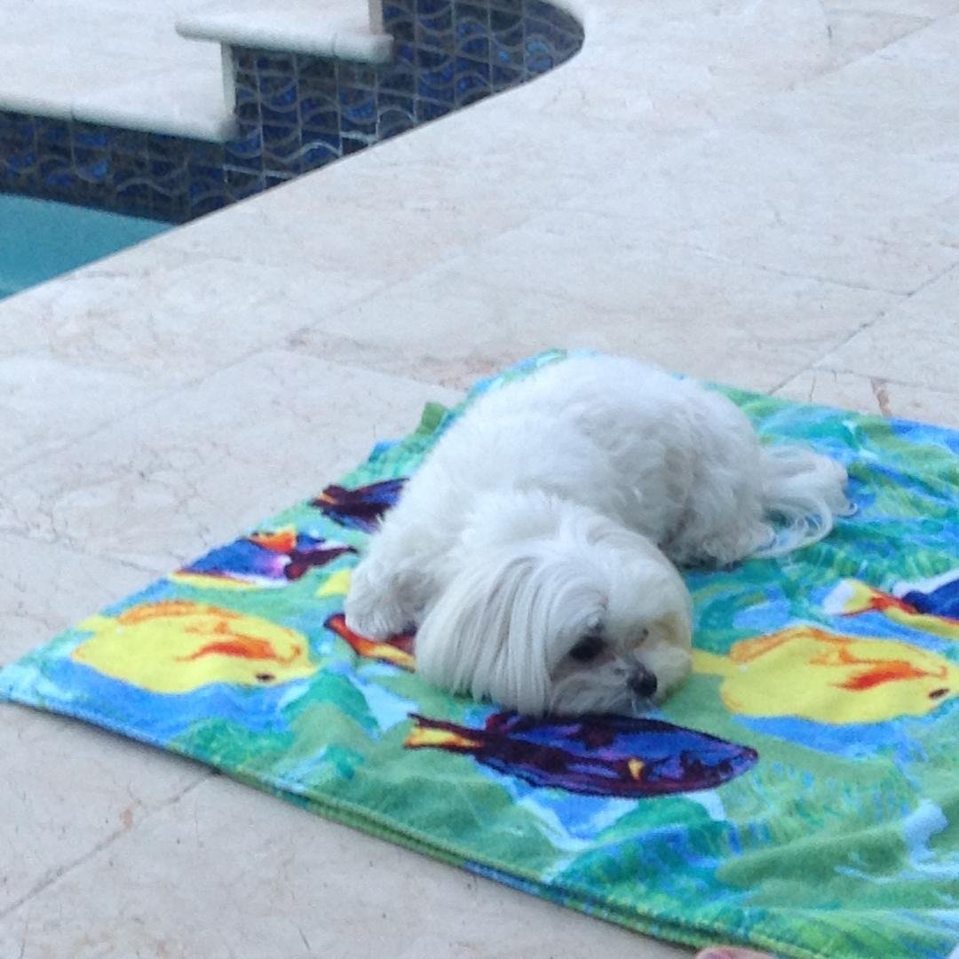 Someone is enjoying her new home