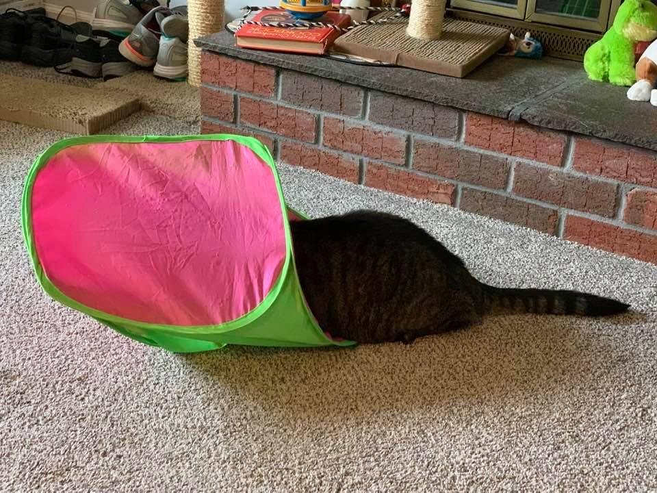 He thinks he is hidden