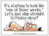Amy Blumhardt's album, Timeline Photos