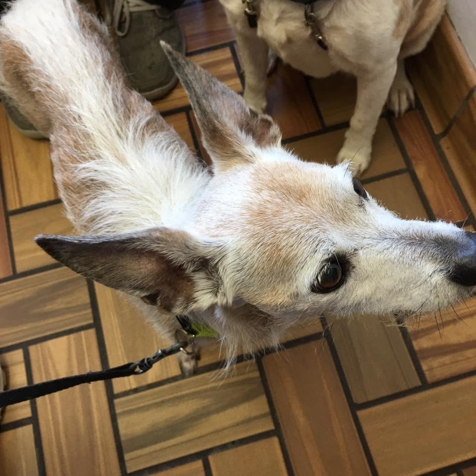 Kirby also getting checked after his tooth surgery