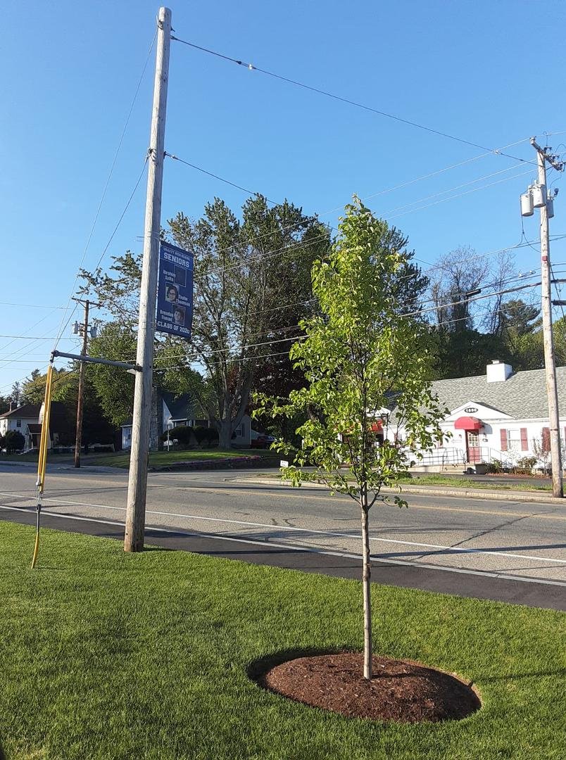 No doubt every city and town will do or have done something to acknowledge the graduating high school seniors. I'm sharing this because this is how the town of Dracut is acknowledging the seniors of Dracut High. Posting nam