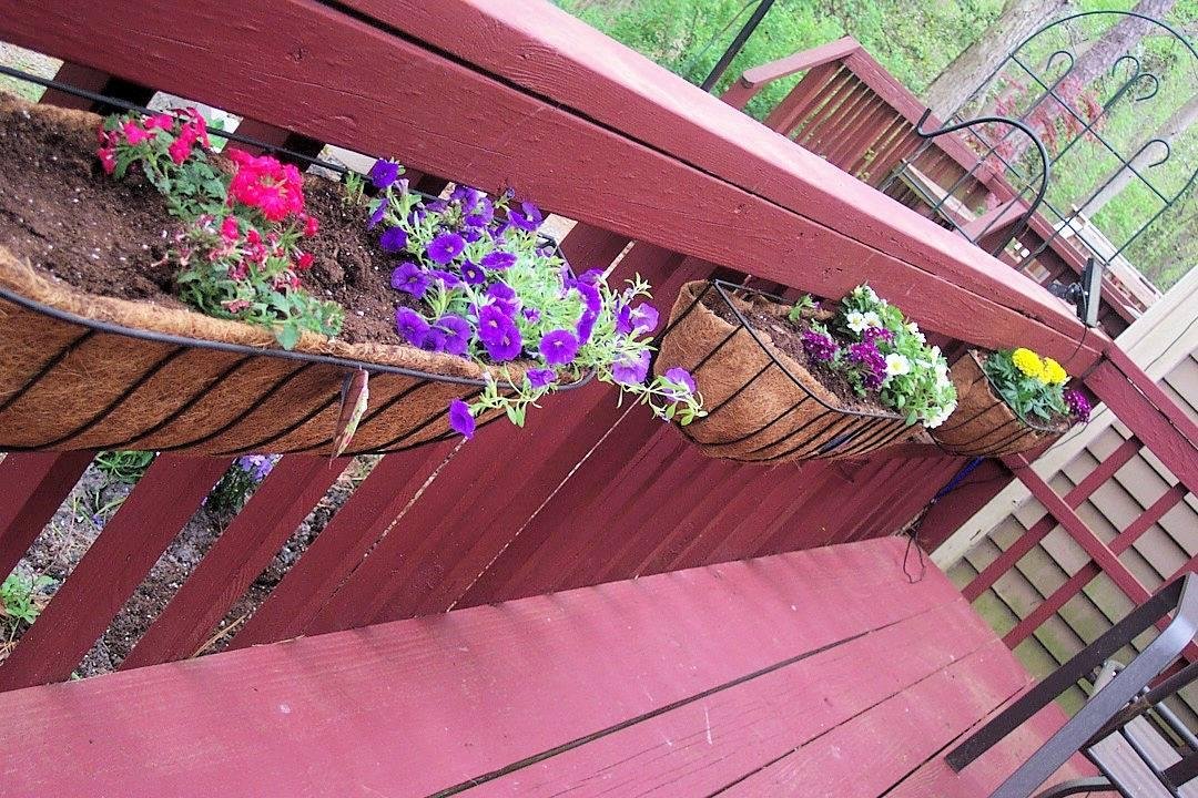 William Page's album, Timeline Photos