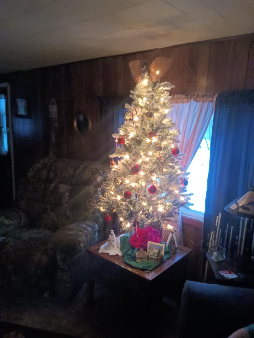 Just a bit of Holiday spirit to share!