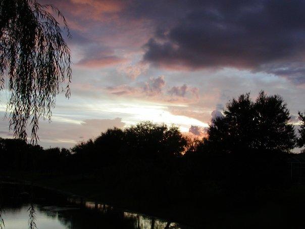 larry abbott's album, Sunsets in Florida