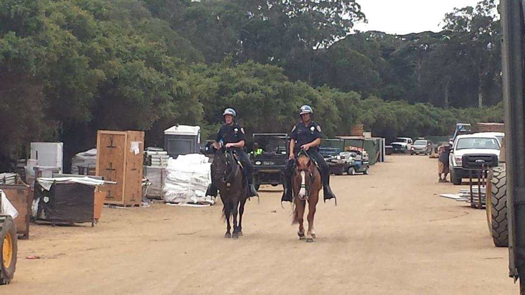 Pretty nice officers and the horses were pretty too