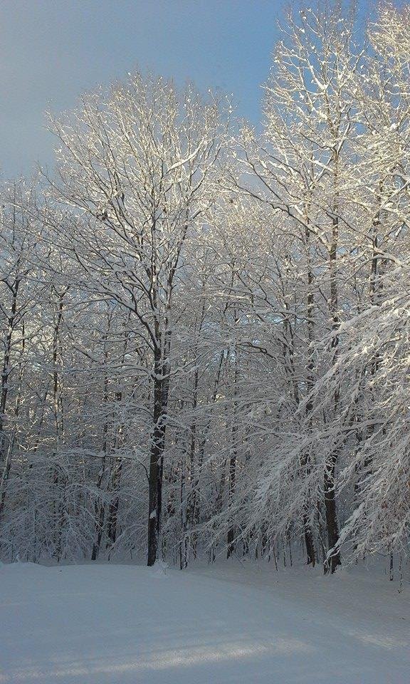 Another beautiful day in New Hampshire!!! ,