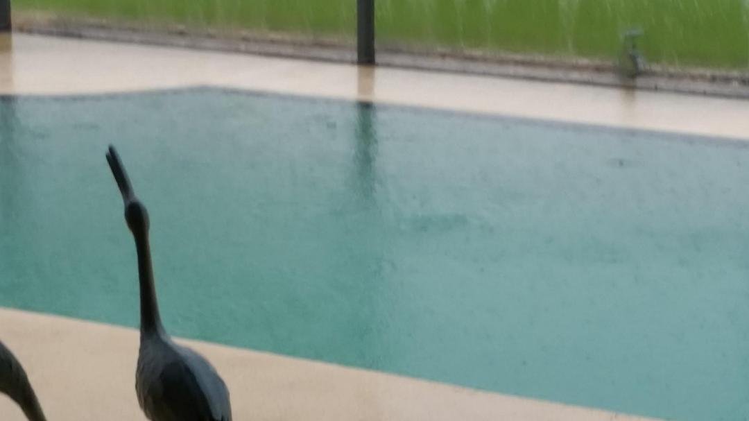 4 days after the hail storm - 7 " of rain causes the pool to overflow