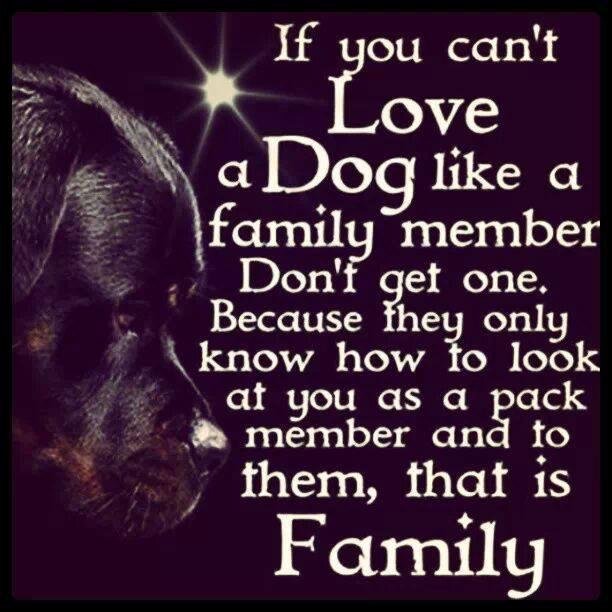 Love my Snoop Dawg ... he knows he is DEFINITELY Family :-*