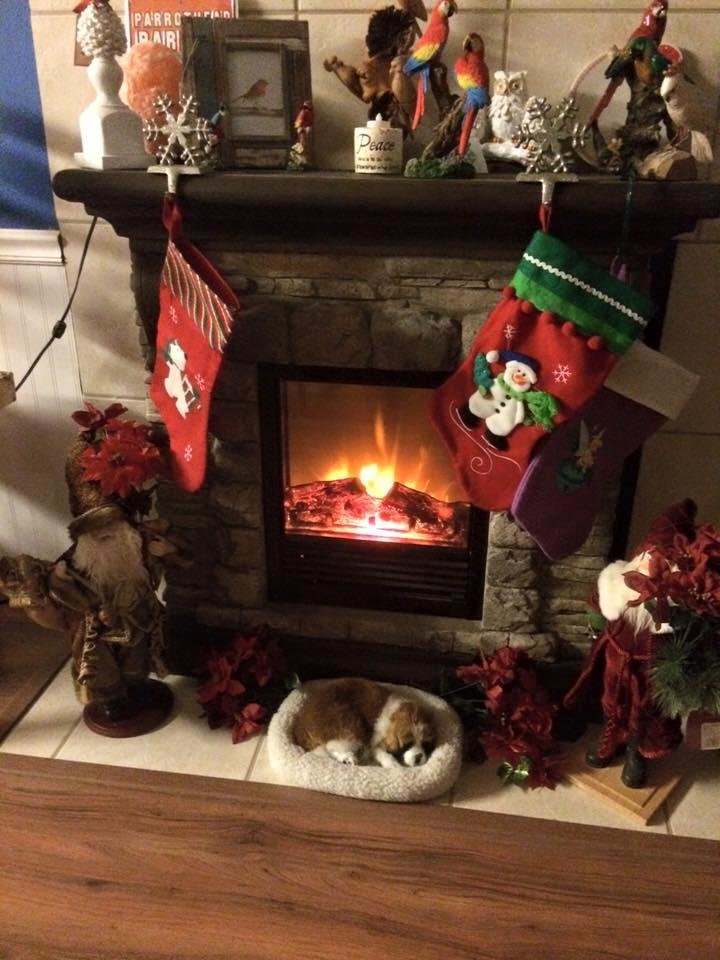 Nan Thompson's album, Mobile Uploads
