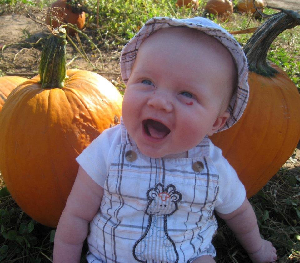 Bruce Morgan's album, October 20, 2011 Great grandson Jackson's in the pumpkin patch