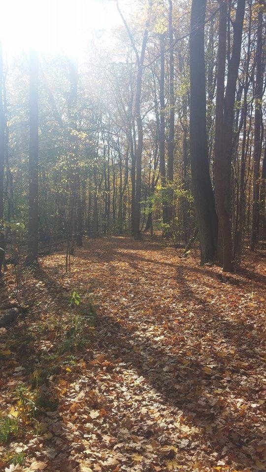 Mike Miller's album, Mobile Uploads