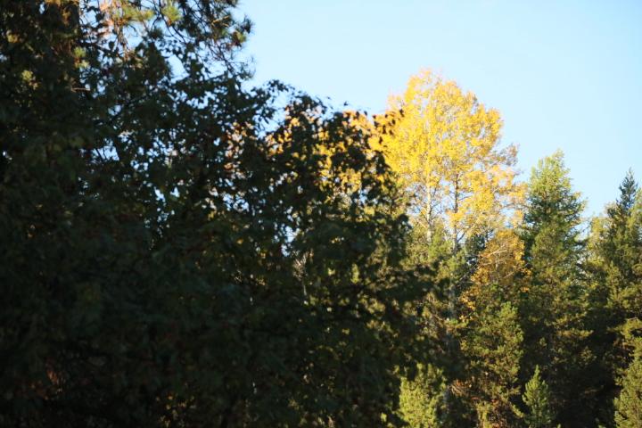Robert Uithof's album, Timeline photos