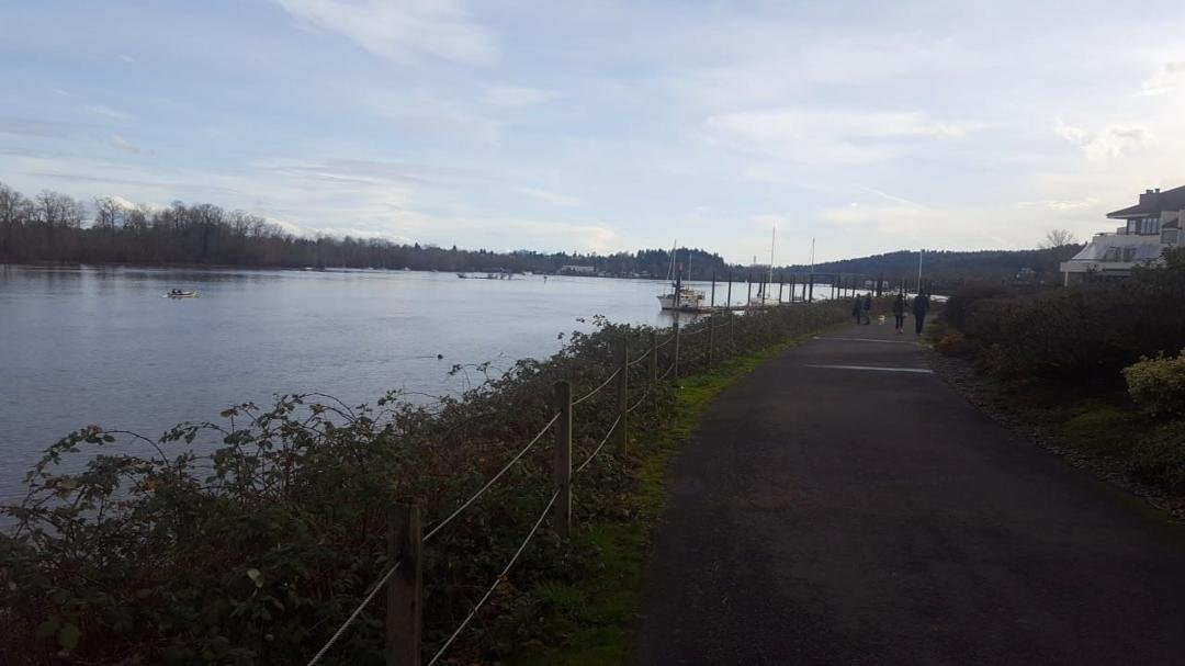 60 degrees on Willamette River Trail. Anothet tough winter day.