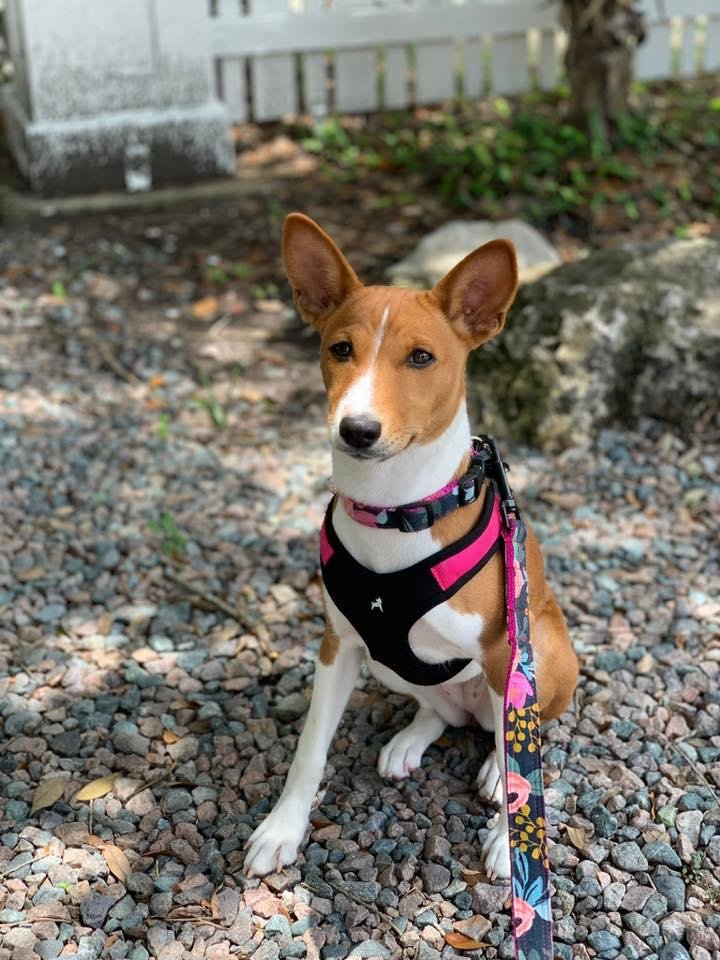Flora at six months