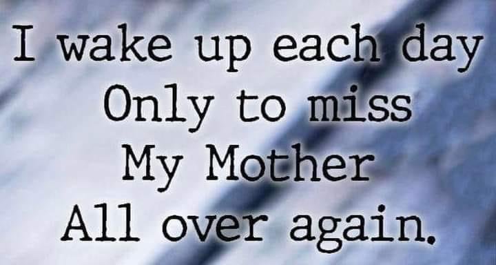 Cindy Miller's album, Timeline photos